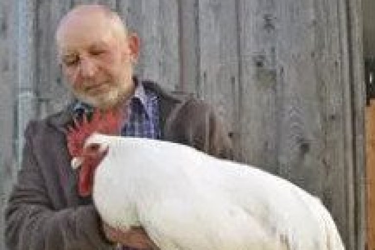 Bericht: Bayrisches Landwirschaftliches Wochenblatt